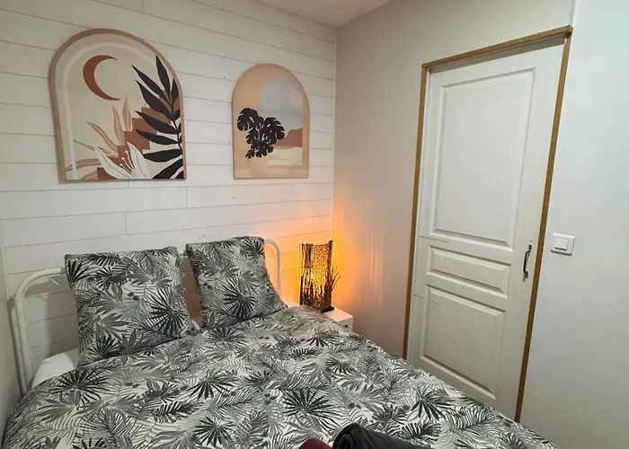 Studio Centre Ville Sete